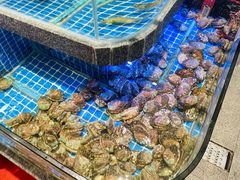 -鸽子侯·家宴·平价海鲜(绿地店)