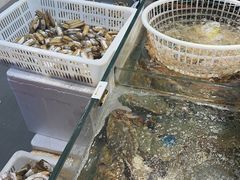 -健跳小海鲜(人民路店)