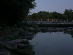-苏州金鸡湖大酒店