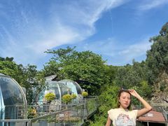 -邑家人·山水四合院