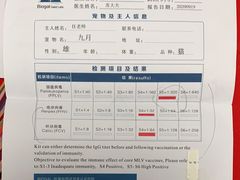-瑞派雷欧宠物医院·24h夜诊·心脏骨科牙科·全科重症转诊中心(无影山店)