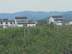-旺山景区