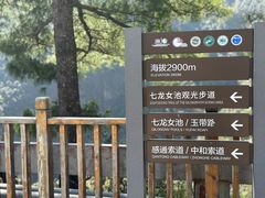 -苍山感通索道