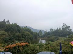 -天强农家菜馆