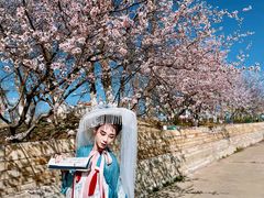 -天津东丽湖风景区