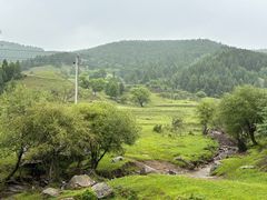 -芦芽山旅游度假区