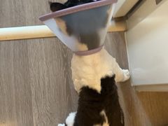 -天津前进宠物医院(前进道店)