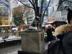 -涩谷区