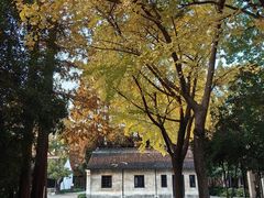 -上海市龙华烈士陵园