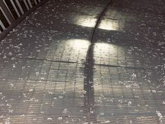 -福道