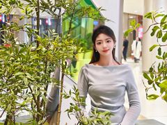 -假装苏杭·迎春花与梅(陆家嘴中心店)