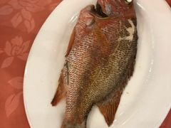 -深运潮州粥(东门店)