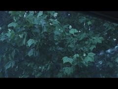 -腾爱熊猫咖啡生活馆(老东门店)