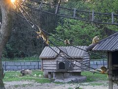 -上海野生动物园