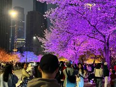 -西北湖绿化广场