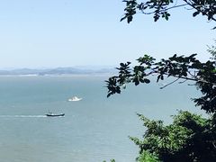 -大鹿岛