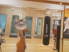 -中田健身工作室(星耀城金牌店)