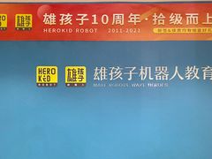 -雄孩子机器人少儿编程STEM教育(迪诺水镇校区)