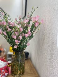 -薇薇安花系SPA