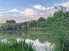 -Supine Bistro溯泮餐厅