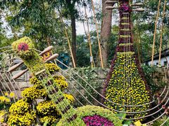 -杭州植物园
