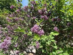 -天津盘山风景名胜区