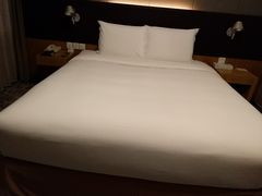 有露台还有小湖花园-北京民族园葉子里酒店(鸟巢店)