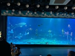 -烟台海昌鲸鲨海洋公园