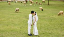 -金夫人婚纱摄影