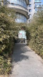 -酉嘉瑜伽YO+YOGA