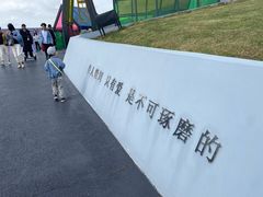 -荷兰花海