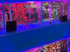 -三旗百汇商品城