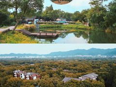 -西溪国家湿地公园