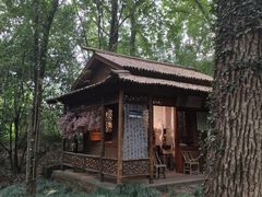 -兰亭风景区