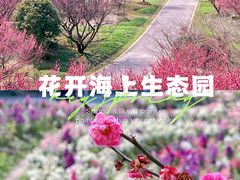 -花开海上生态园
