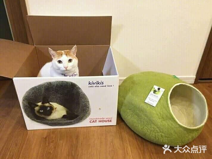 材料也不错。目前听说要过年休息要到初六才营业