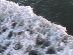 -厦门邮轮中心厦鼓码头(轮渡站)