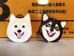 -柴犬高等学院·狗咖·柴犬售卖·宠物训练
