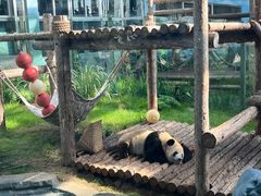 -大连森林动物园