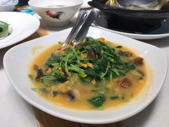 上汤苋菜-莆田餐厅(滨海广场店)
