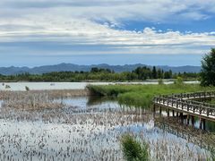 -野鸭湖国家湿地公园