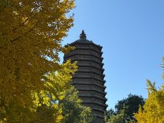 -玲珑塔公园