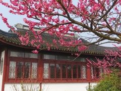 -上海滨江森林公园