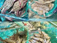 -北戴河庆山饭店·海鲜砂锅粥(北戴河黑石路店)