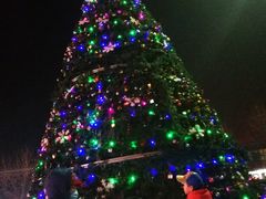 -兴芮温泉度假区