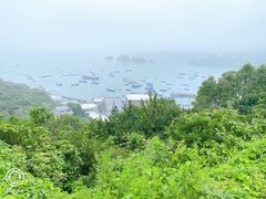 -枸杞岛