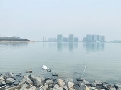 -北龙湖湿地公园