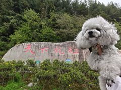 -重庆云阳龙缸景区