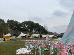 -不觉晓CAMPING(上海迪士尼营地店)