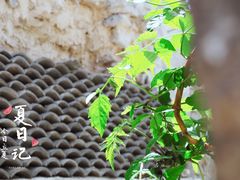 -于家石头村景区